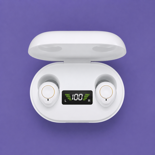 Lucidity Hearing Aids