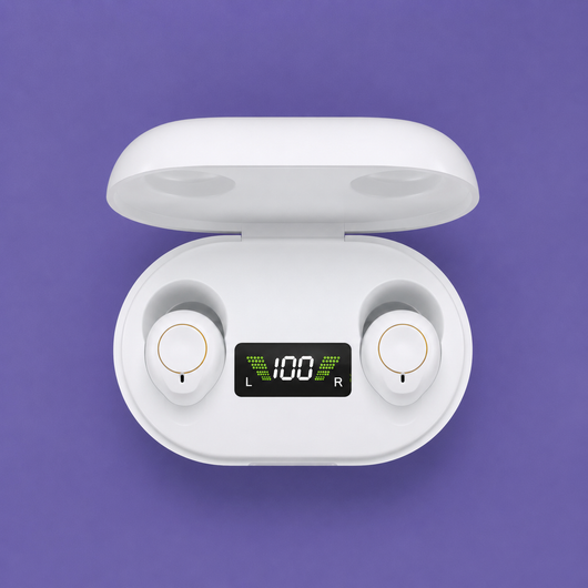 Lucidity Hearing Aids