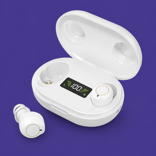 Lucidity Hearing Aids