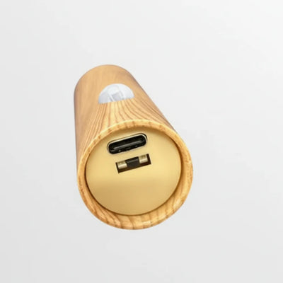 Avrel Motion Sensor LED Wall Light